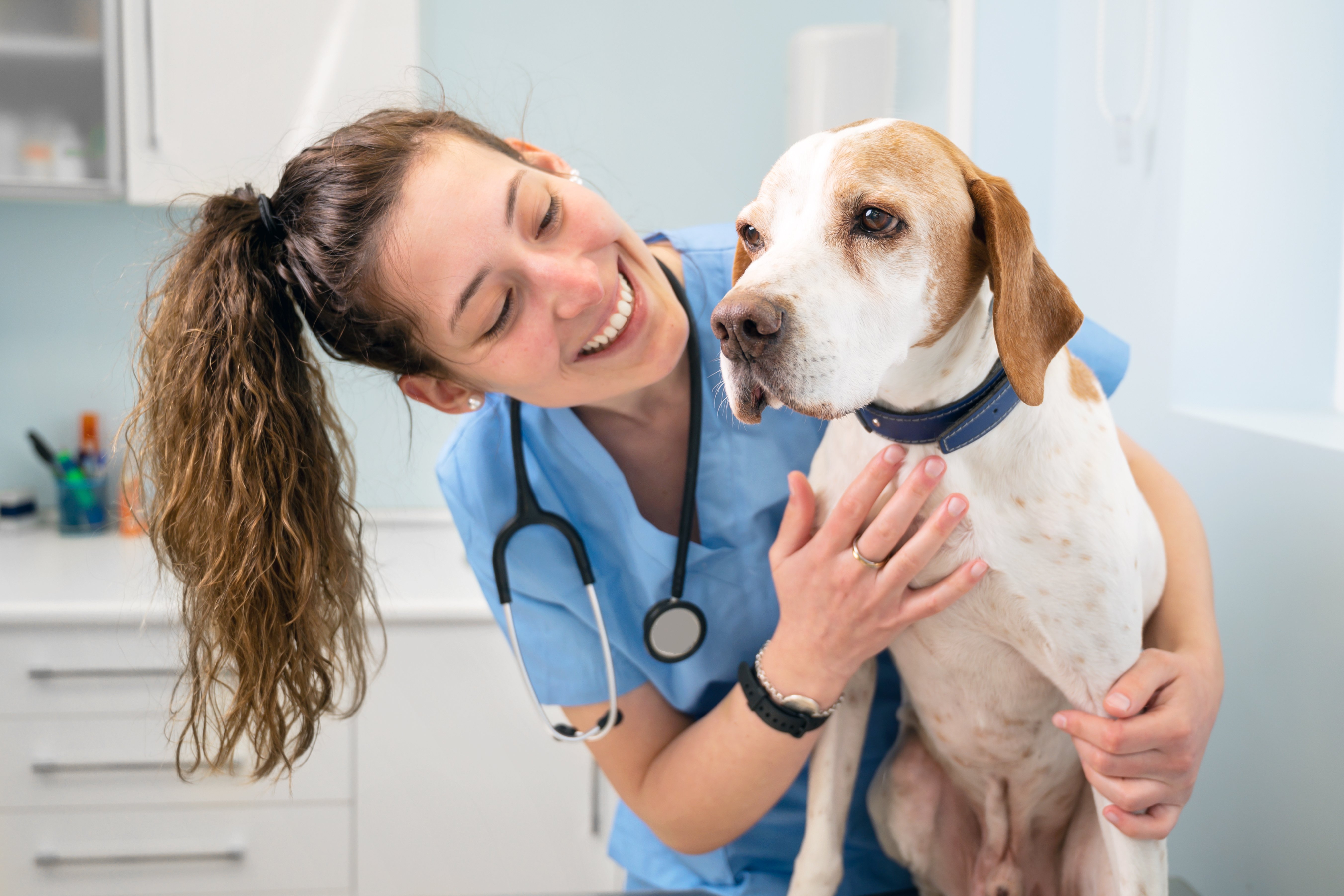Young happy veterinarian smiling with a dog