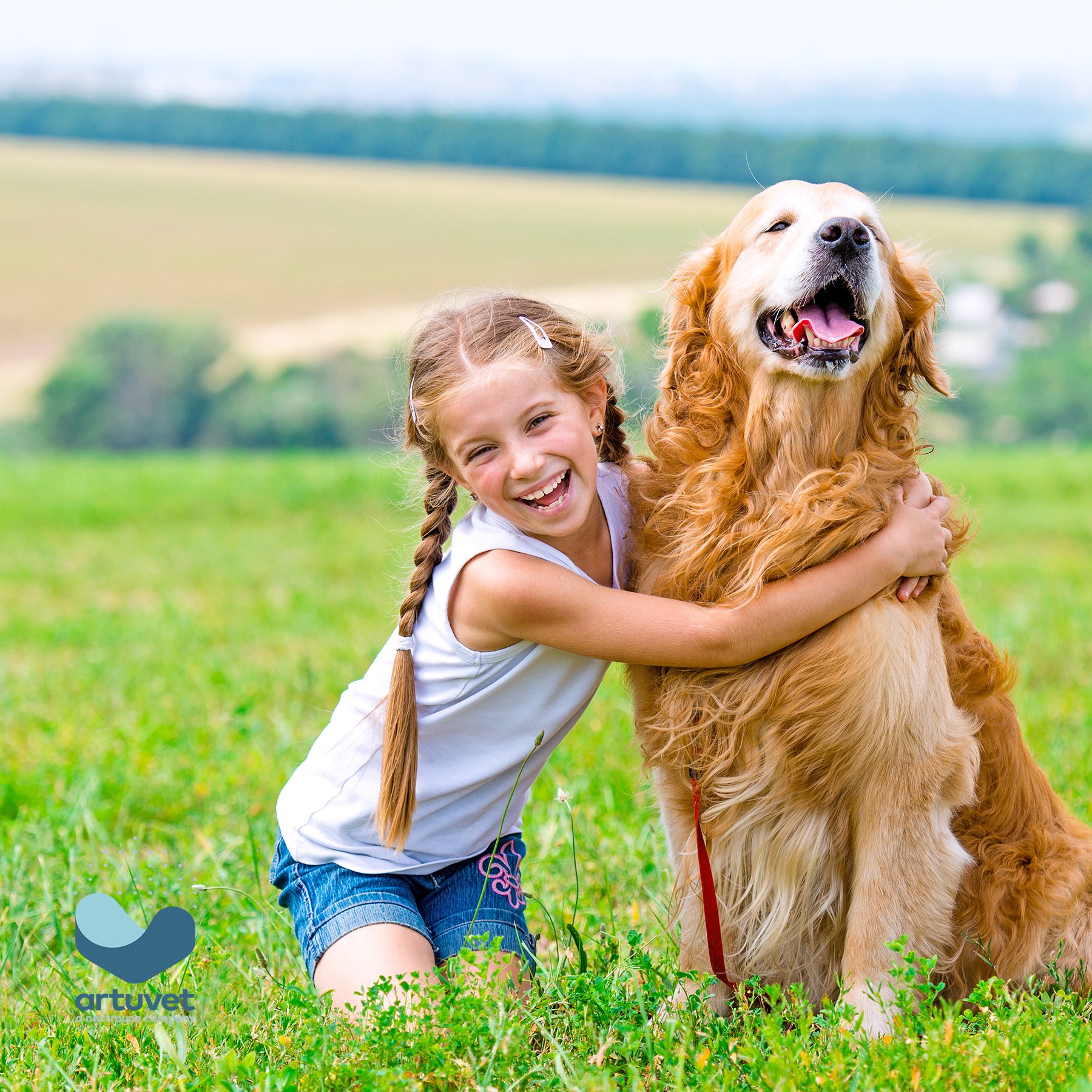 Child hugging a golden retriever in a field