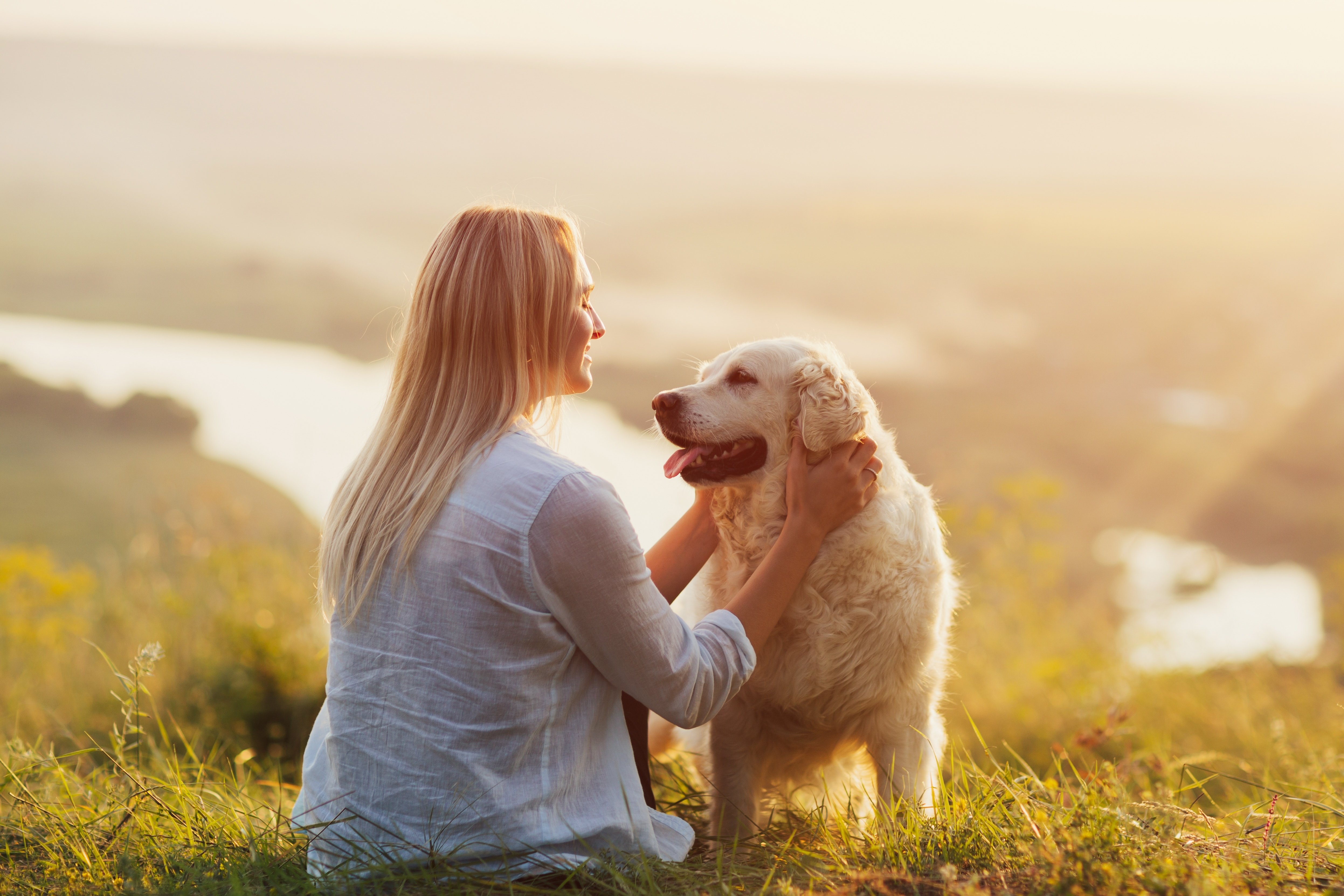 Woman with her dog on the hill on golden sunset background