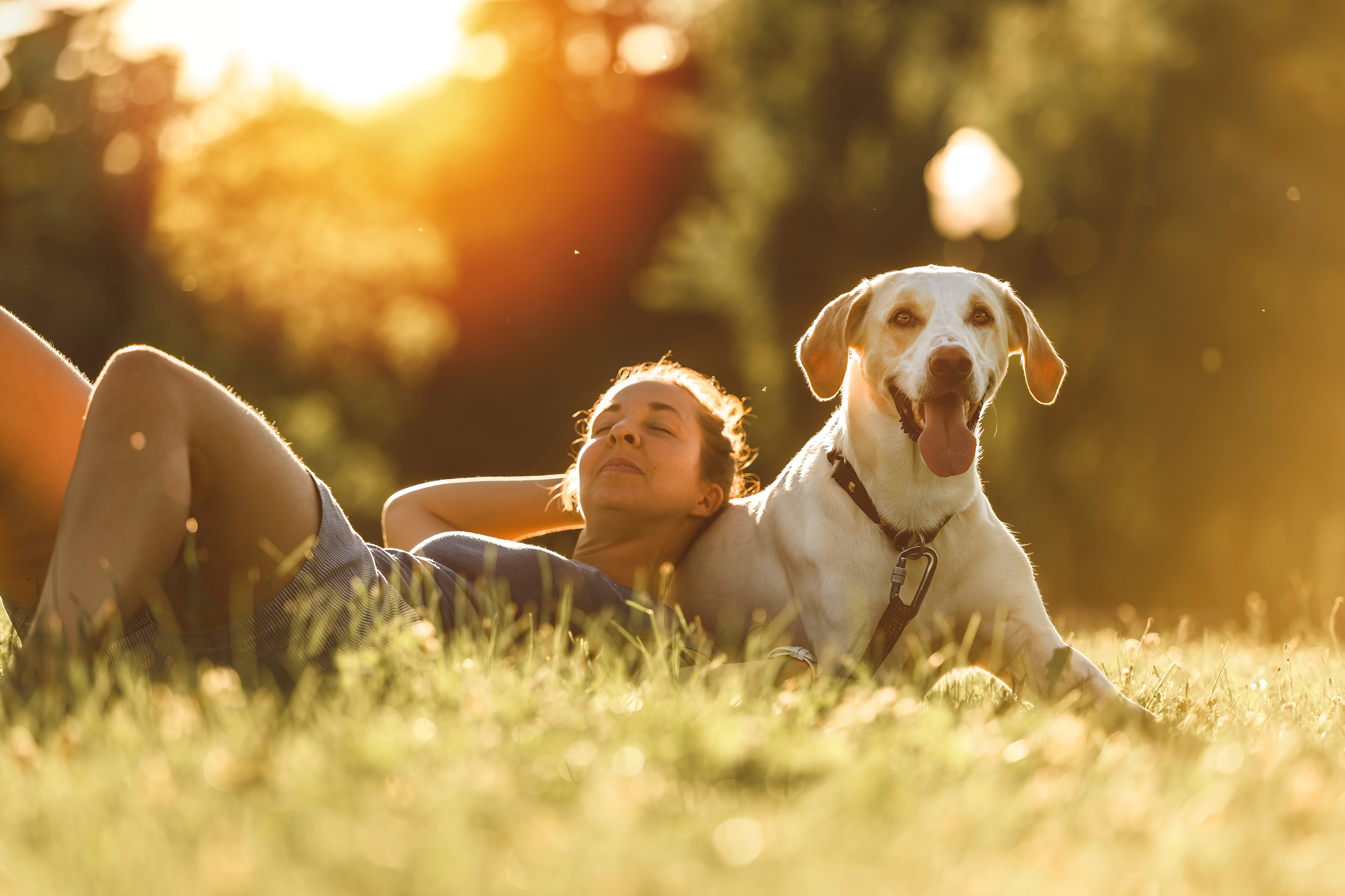 shutterstock_2199358027-1