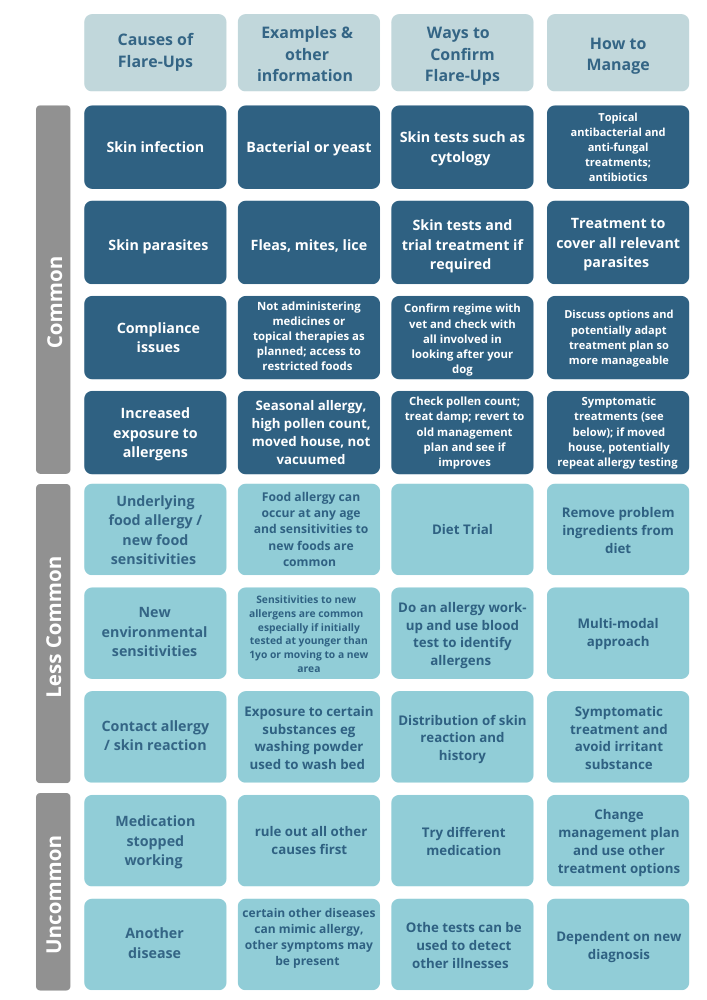 Causes of Flare-Ups copy-png