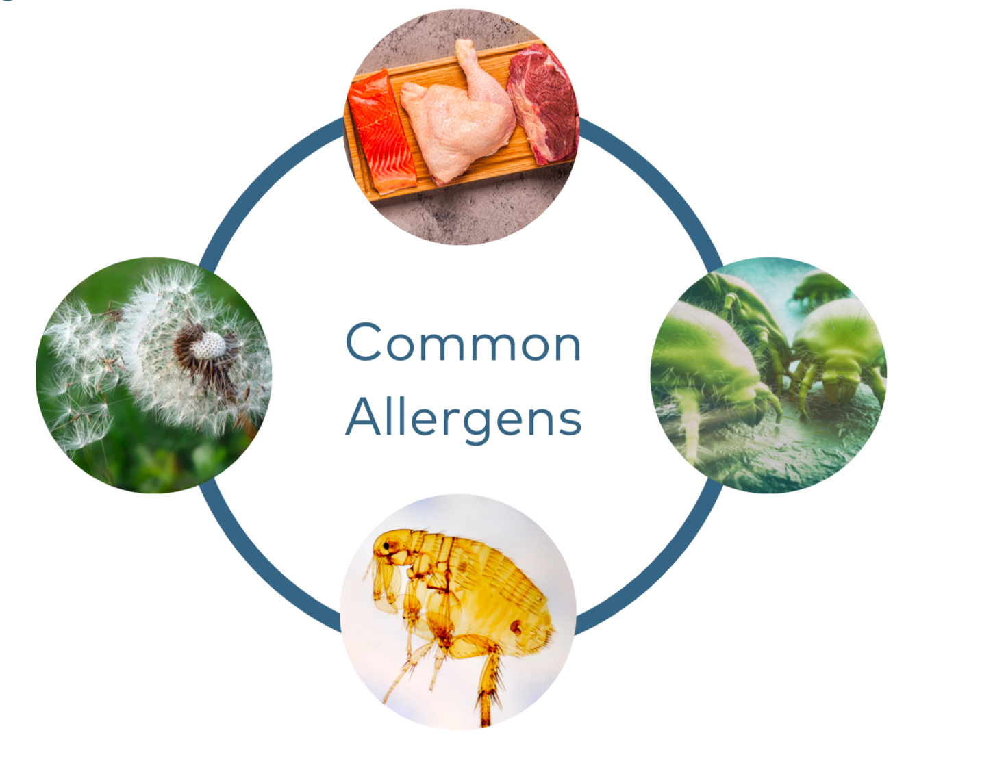 Screenshot 2022-06-22 at 12