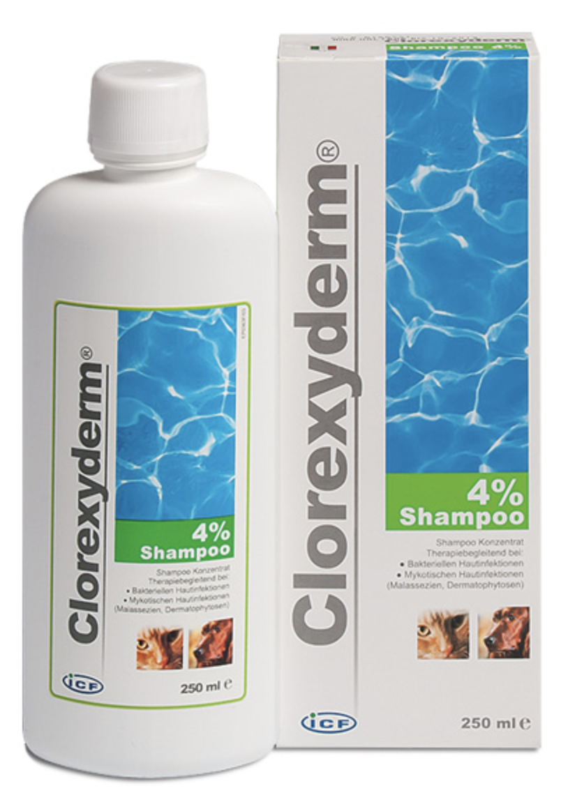 Clorexyderm 4% Shampoo