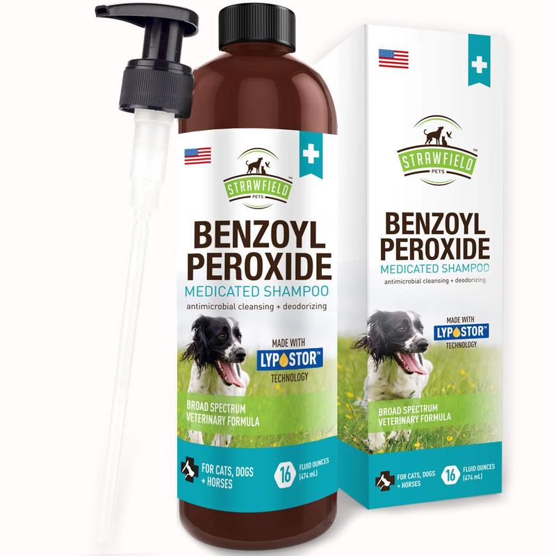 kål Symptomer Tragisk Benzoyl Peroxide Shampoo - Nextmune