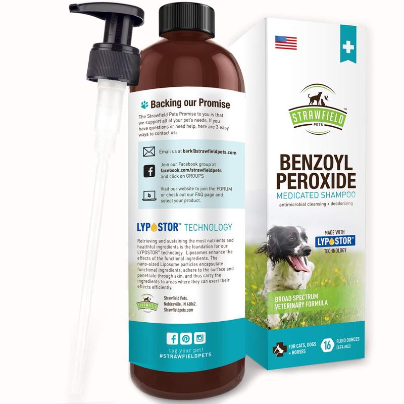kål Symptomer Tragisk Benzoyl Peroxide Shampoo - Nextmune