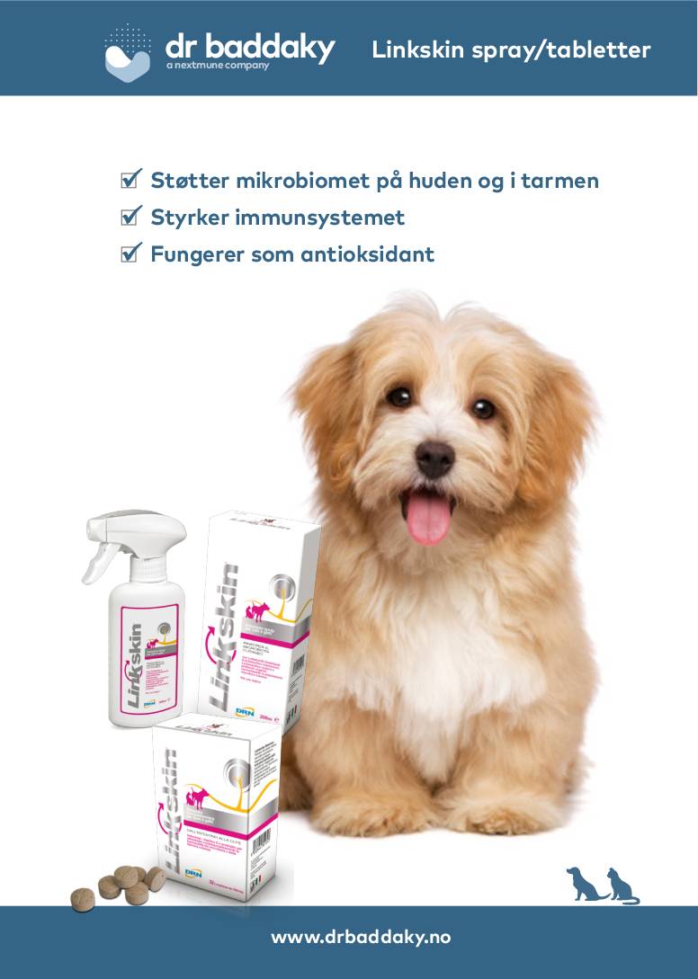 linkskin_dr-baddaky_no-2