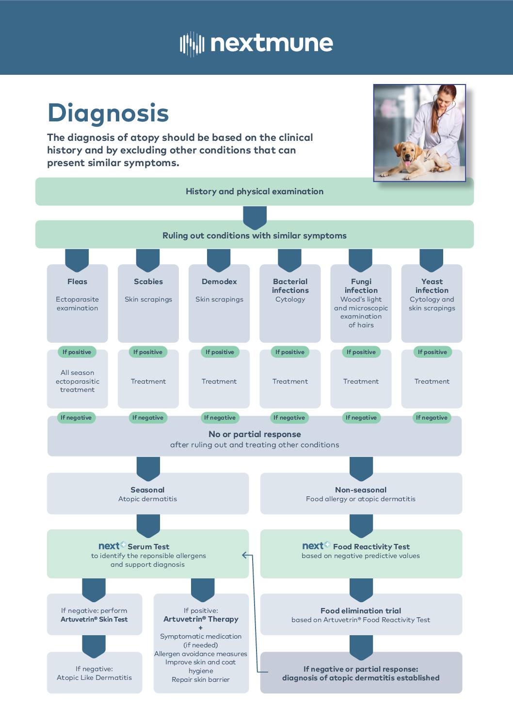 a_flow-chart-allergy_eng_201910