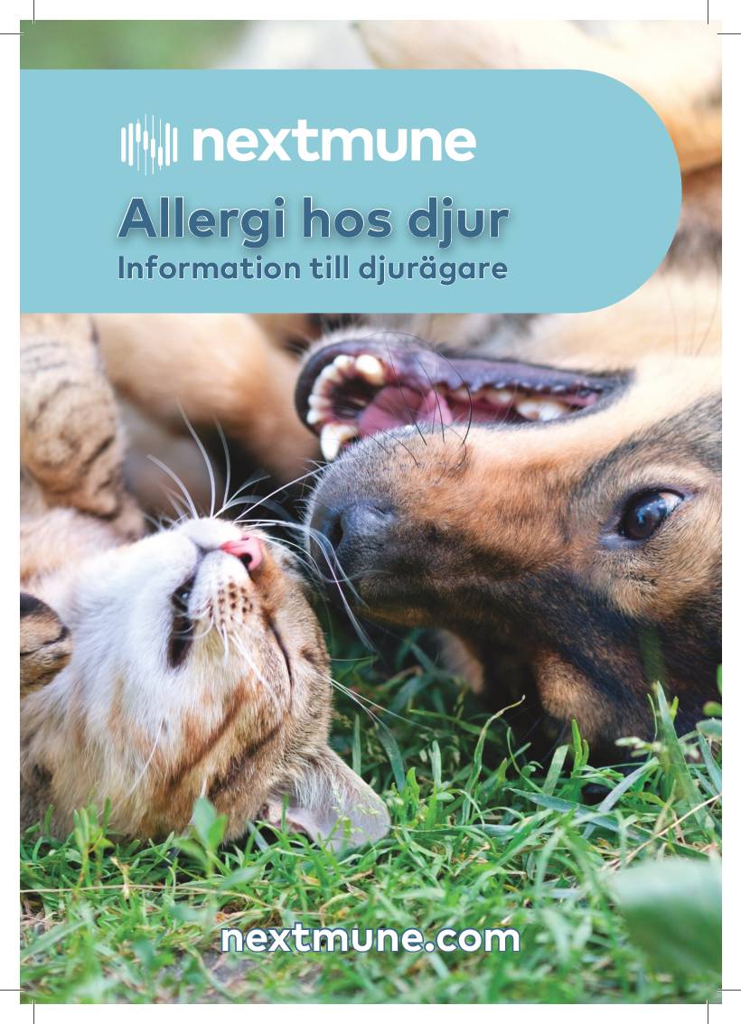 allergi-hos-djur_sv_201911