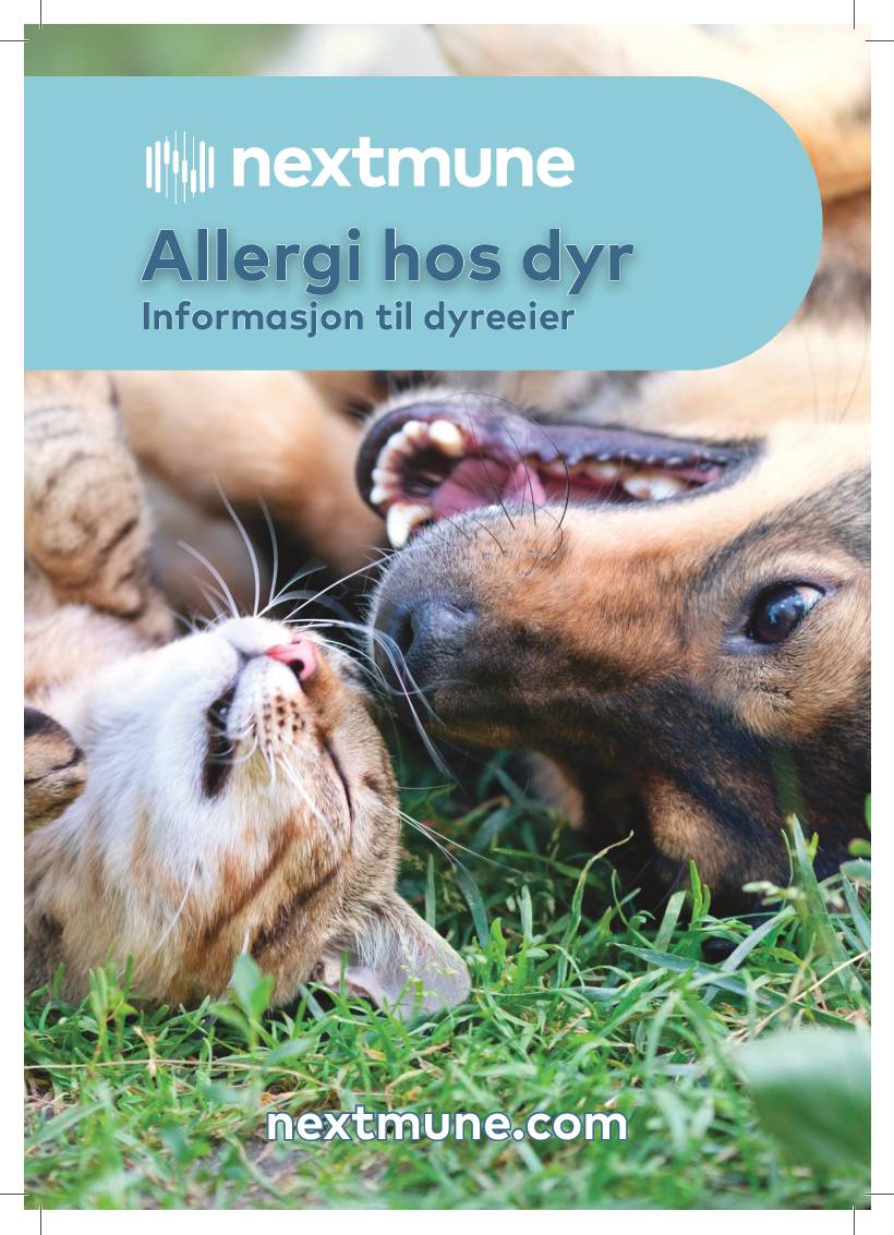allergi-hos-dyr_no_0121_1-2