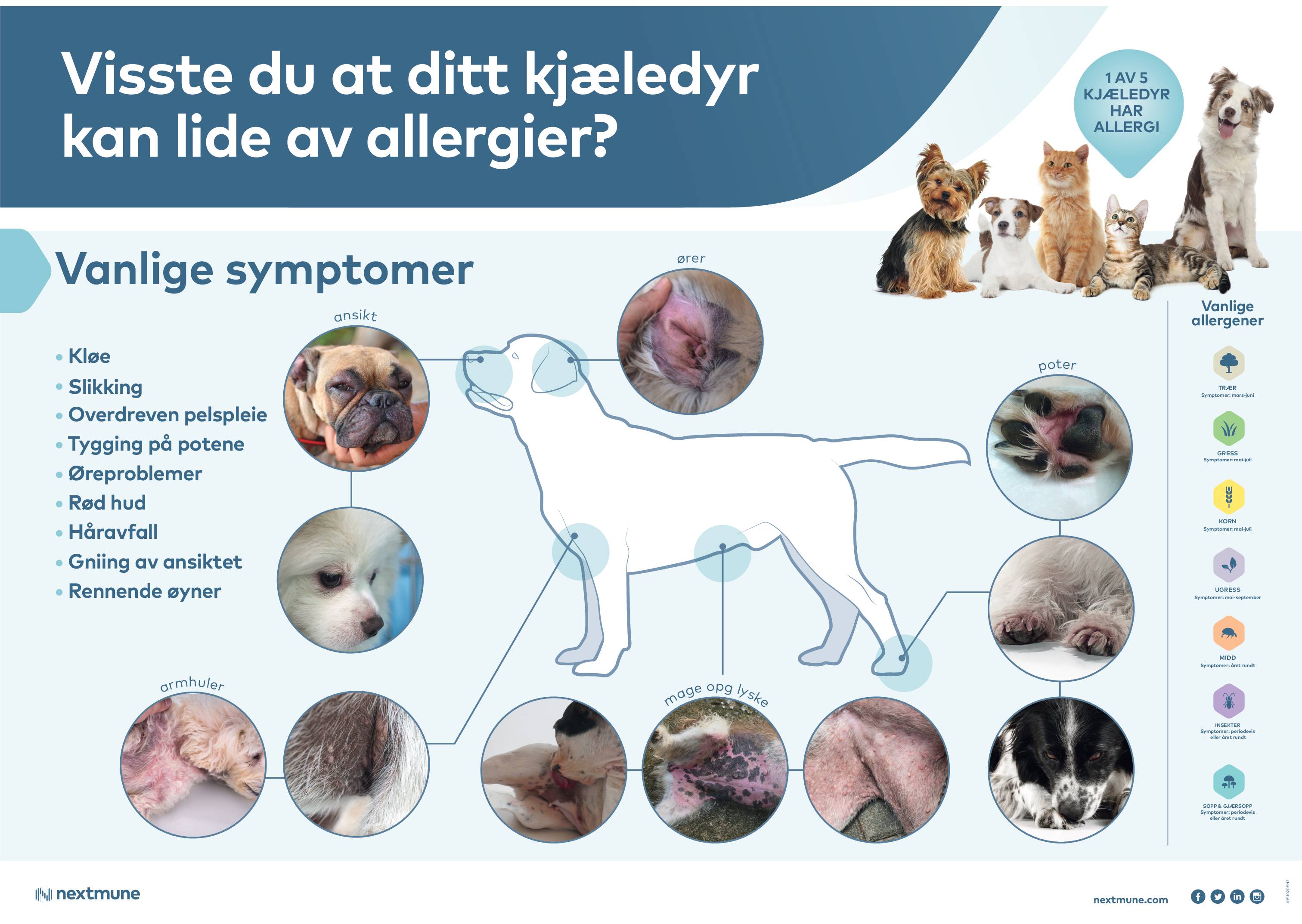 allergi_poster_no_a2