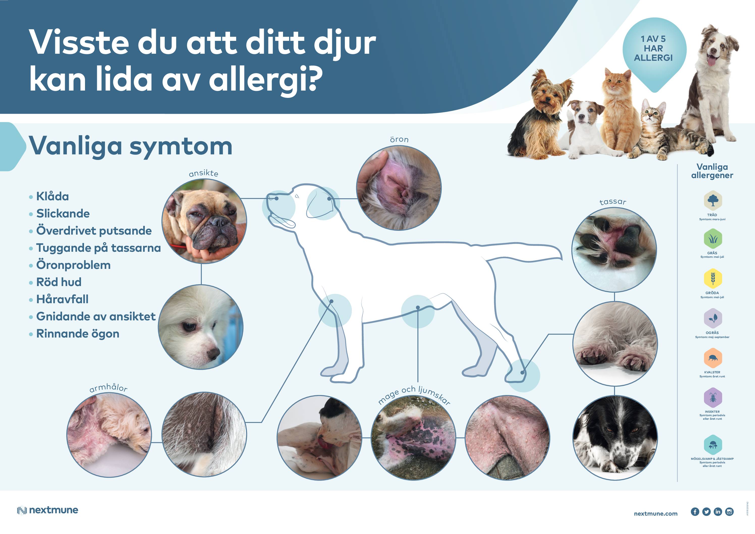 allergi_poster_sv_a2_1