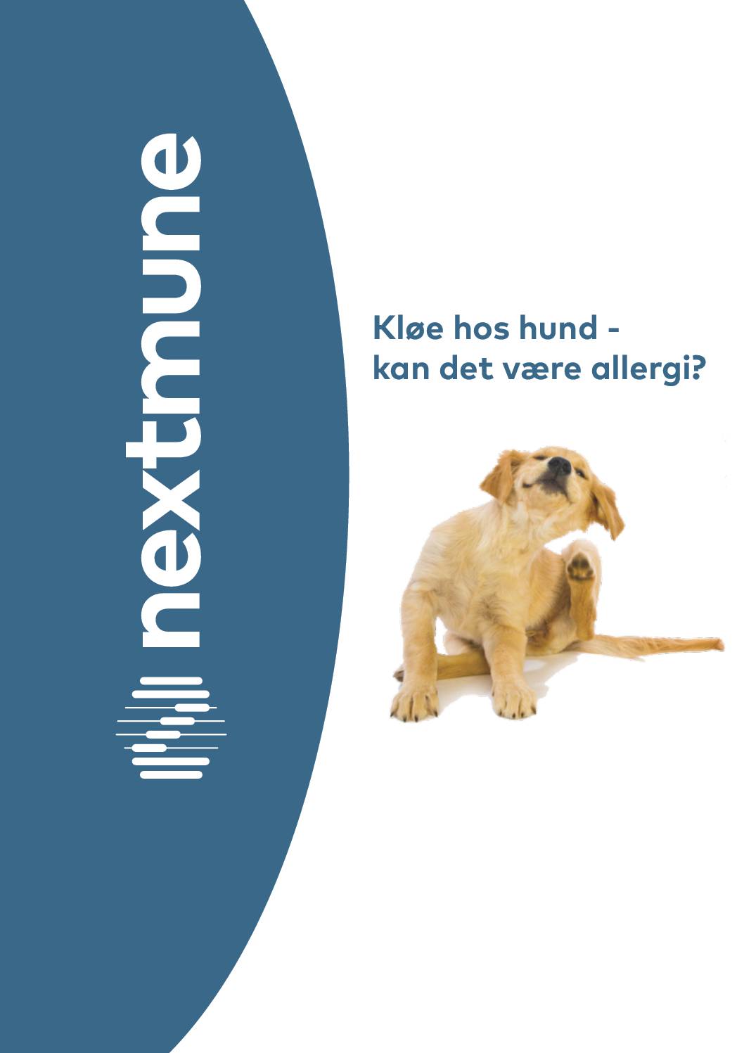 udredningsplan-ved-mistanke-om-allergi-hos-hund_dk_0421_1