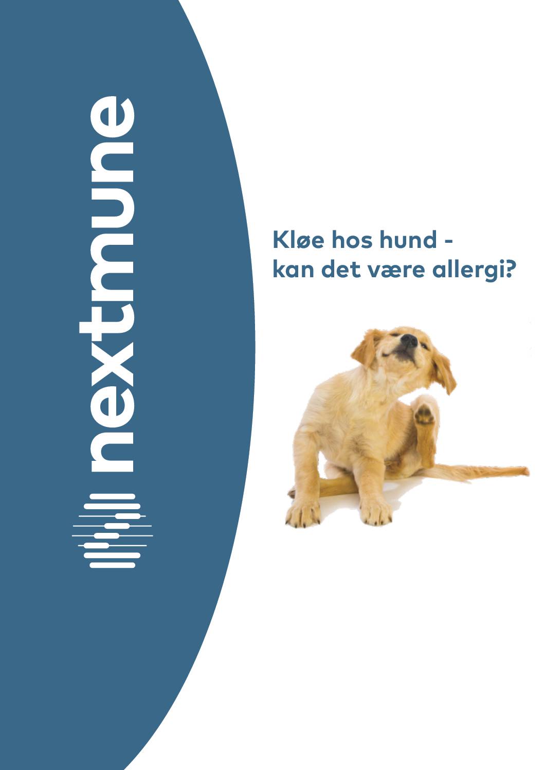 utredningsplan-ved-mistanke-om-allergi-hos-hund_no_3121_1