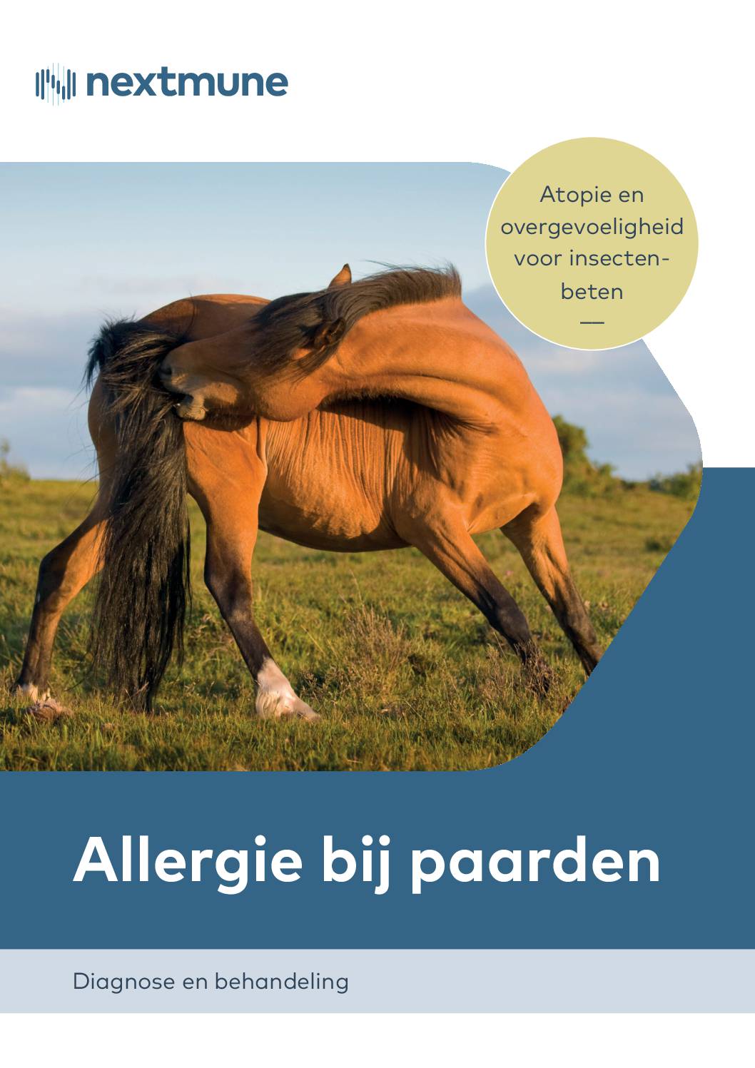 allergie-bij-paarden-vet