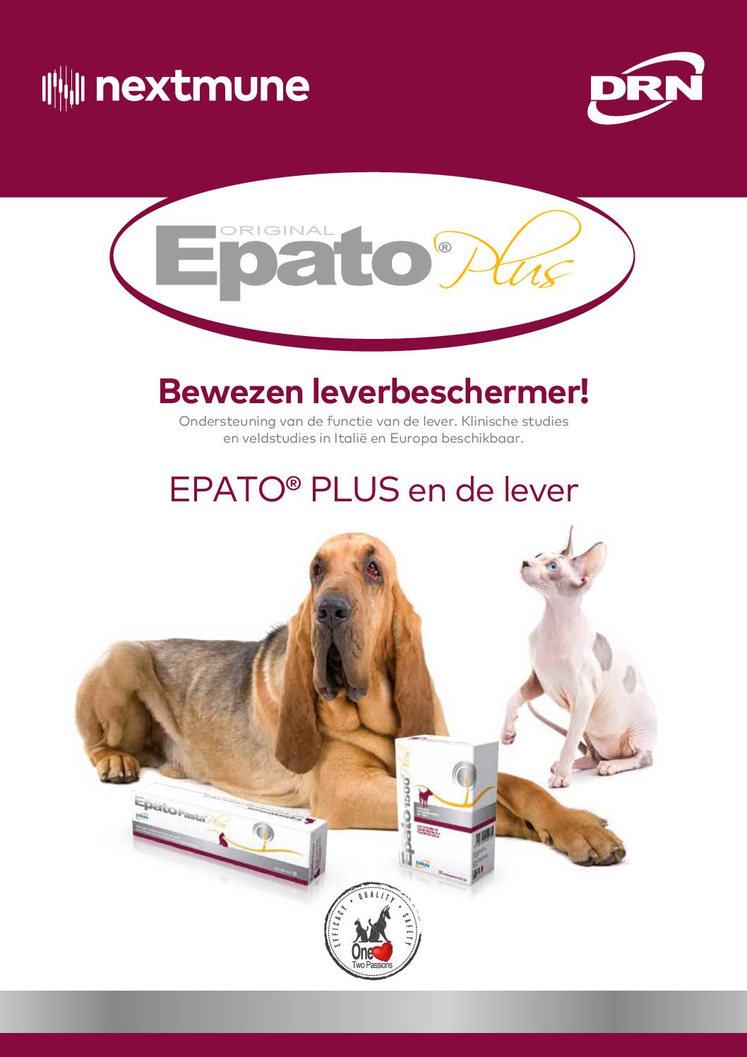 epato
