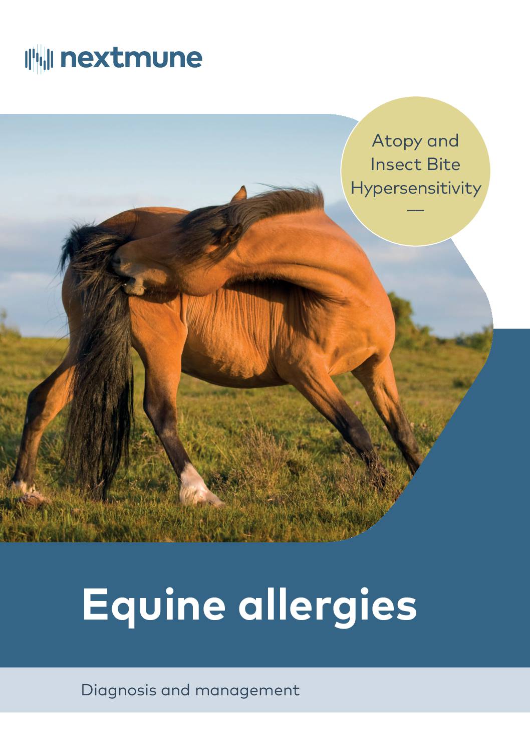 equine-allergies