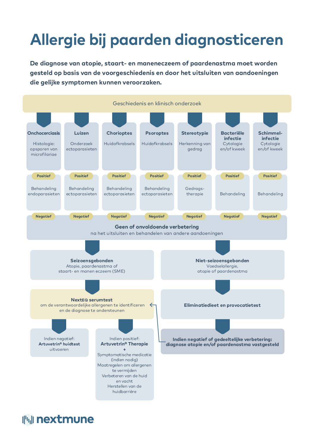 flowchart-allergie-bij-paarden