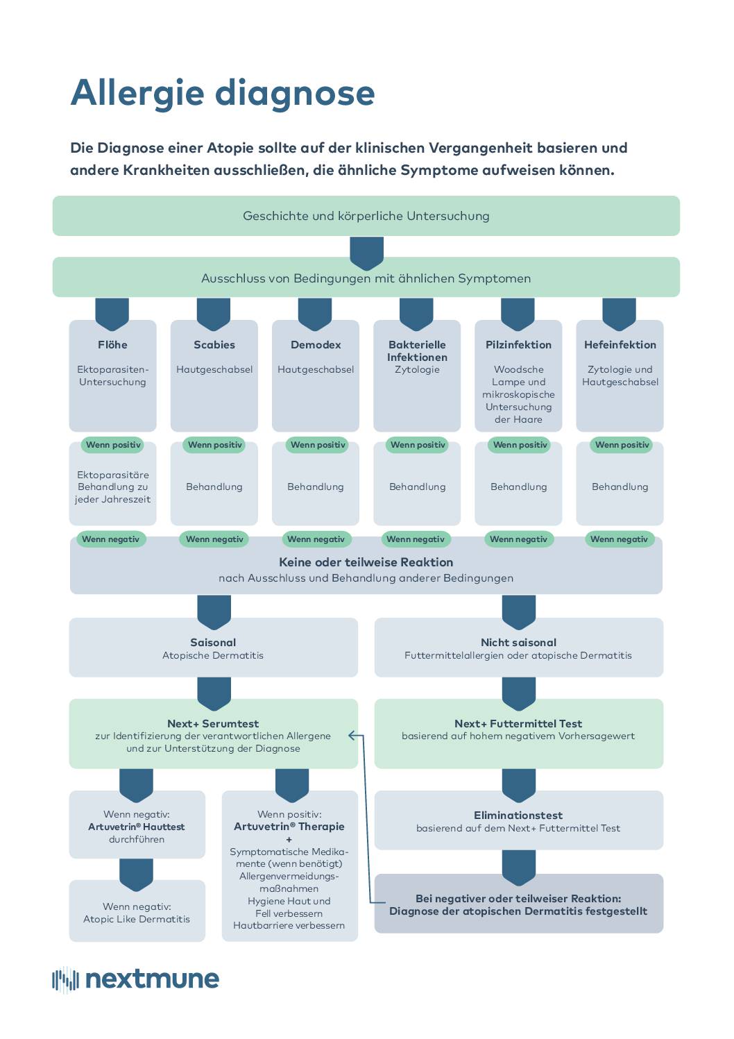 flowchart-allergie-diagnose