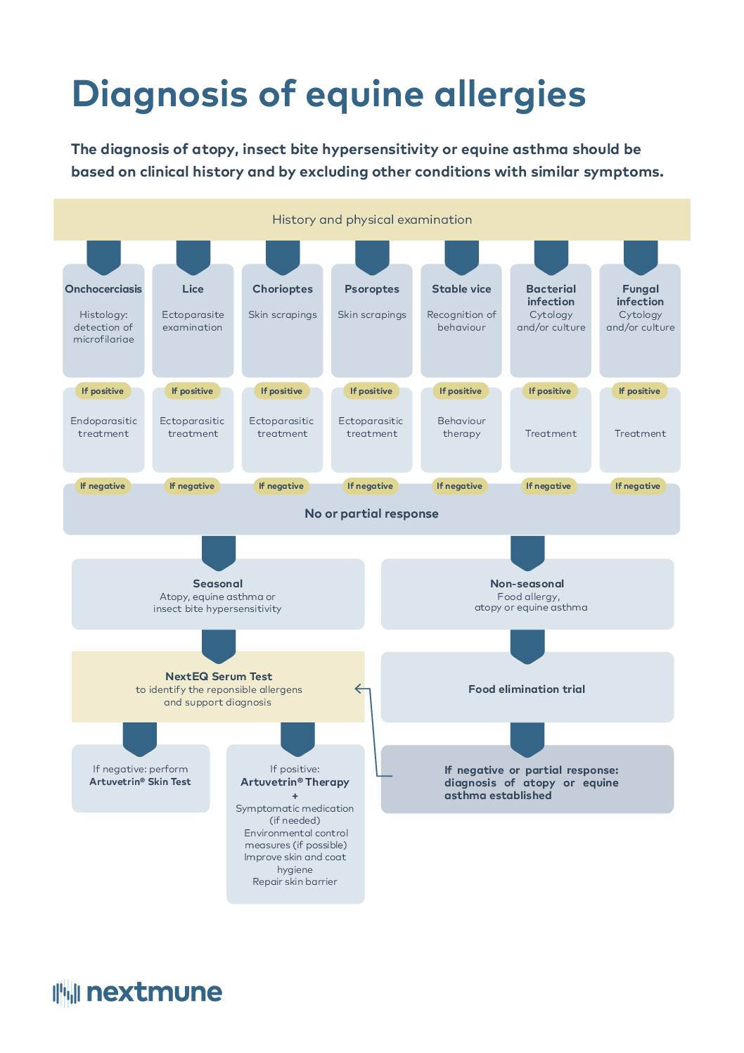 flowchart-equine-allergy-diagnosis