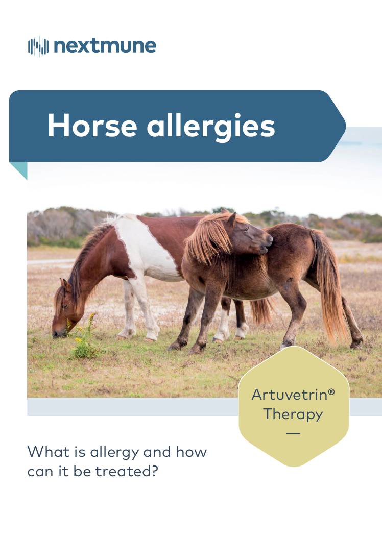 horse-allergies-2
