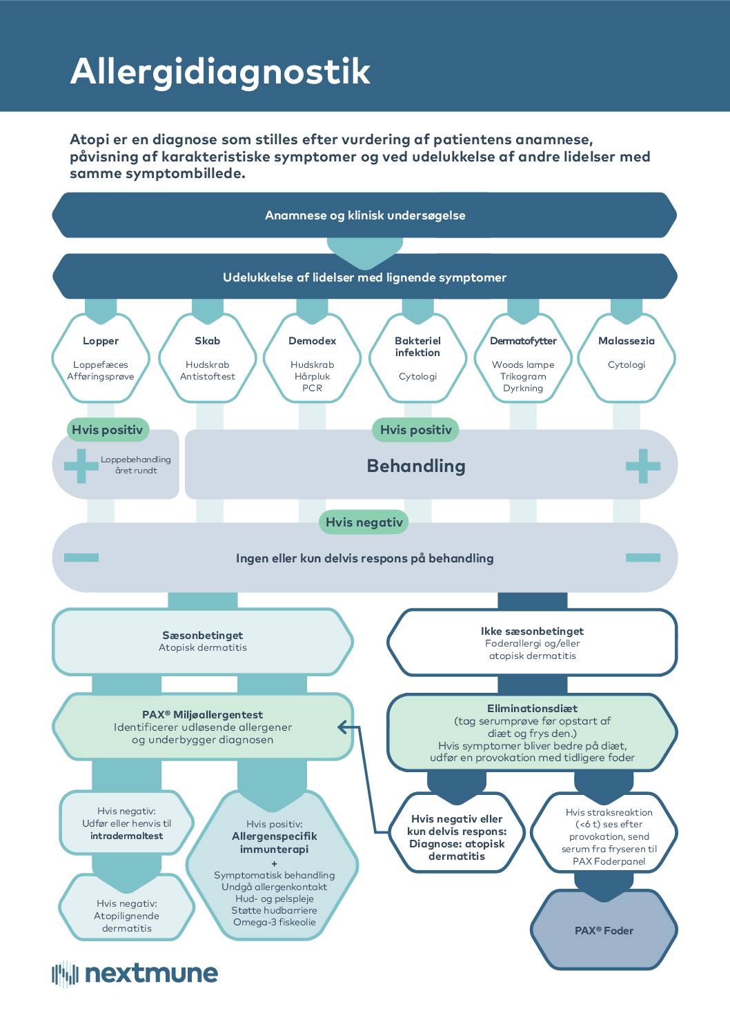 flowchart-allergi_dk