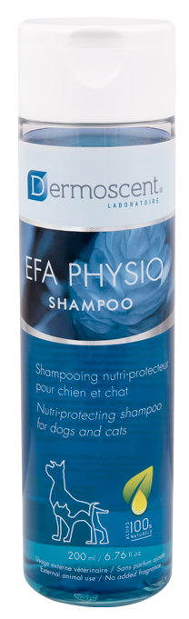 Appeal to be attractive Great carve Dermoscent® EFA Physio Shampoo - Nextmune