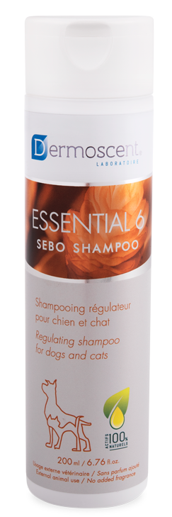 Essential-6 sebo shampoo hond kat