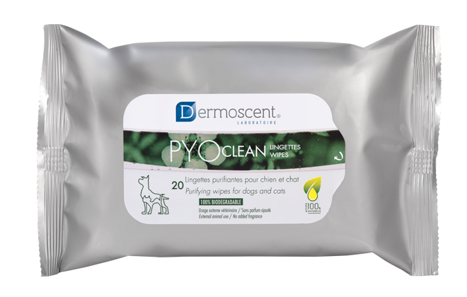 PYOclean® Wipes