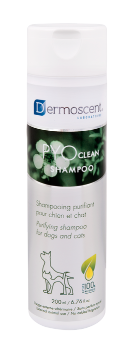 PYOclean shampoo