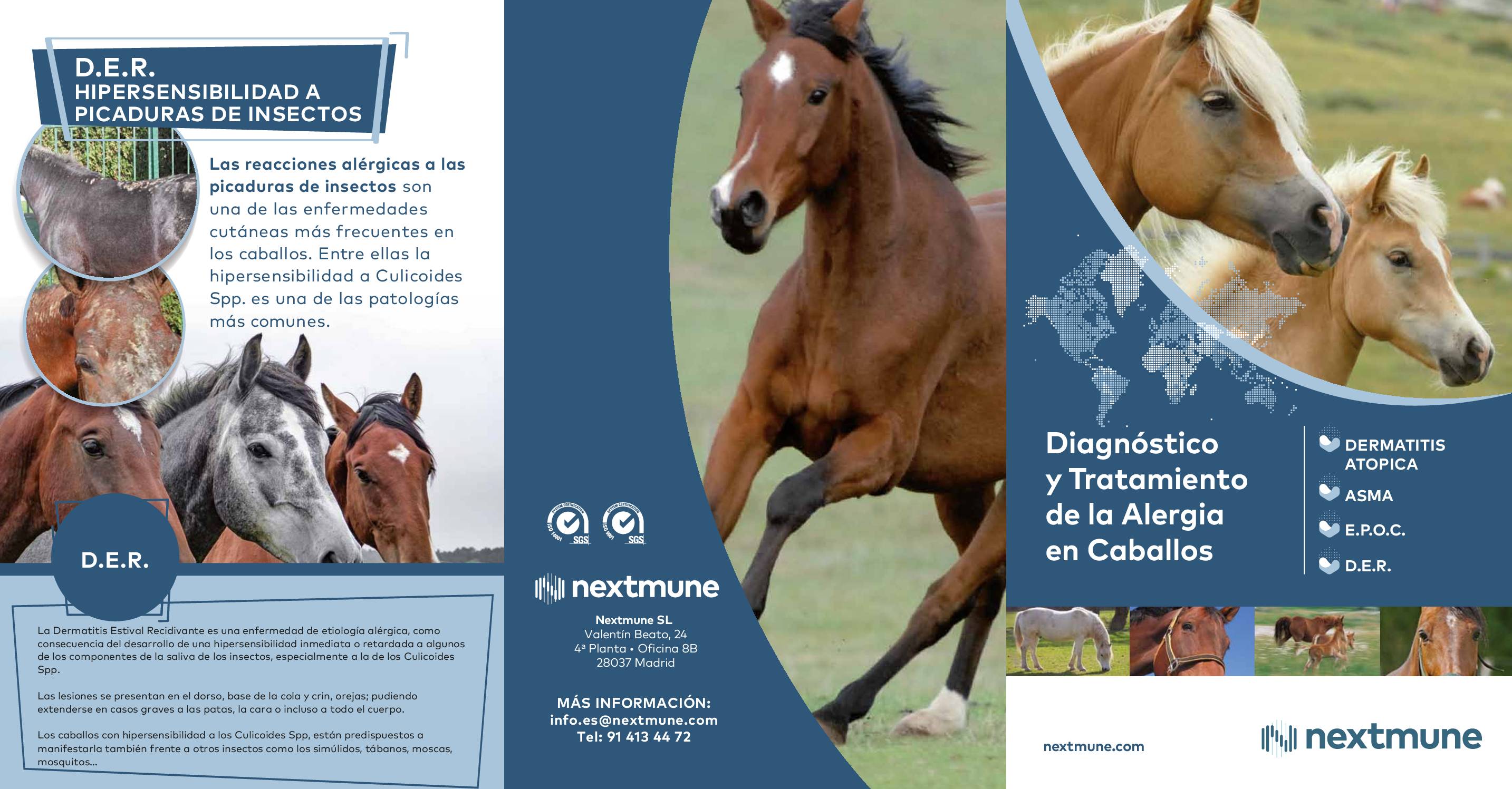 triptico-diagnostico-espan%cc%83a-2023